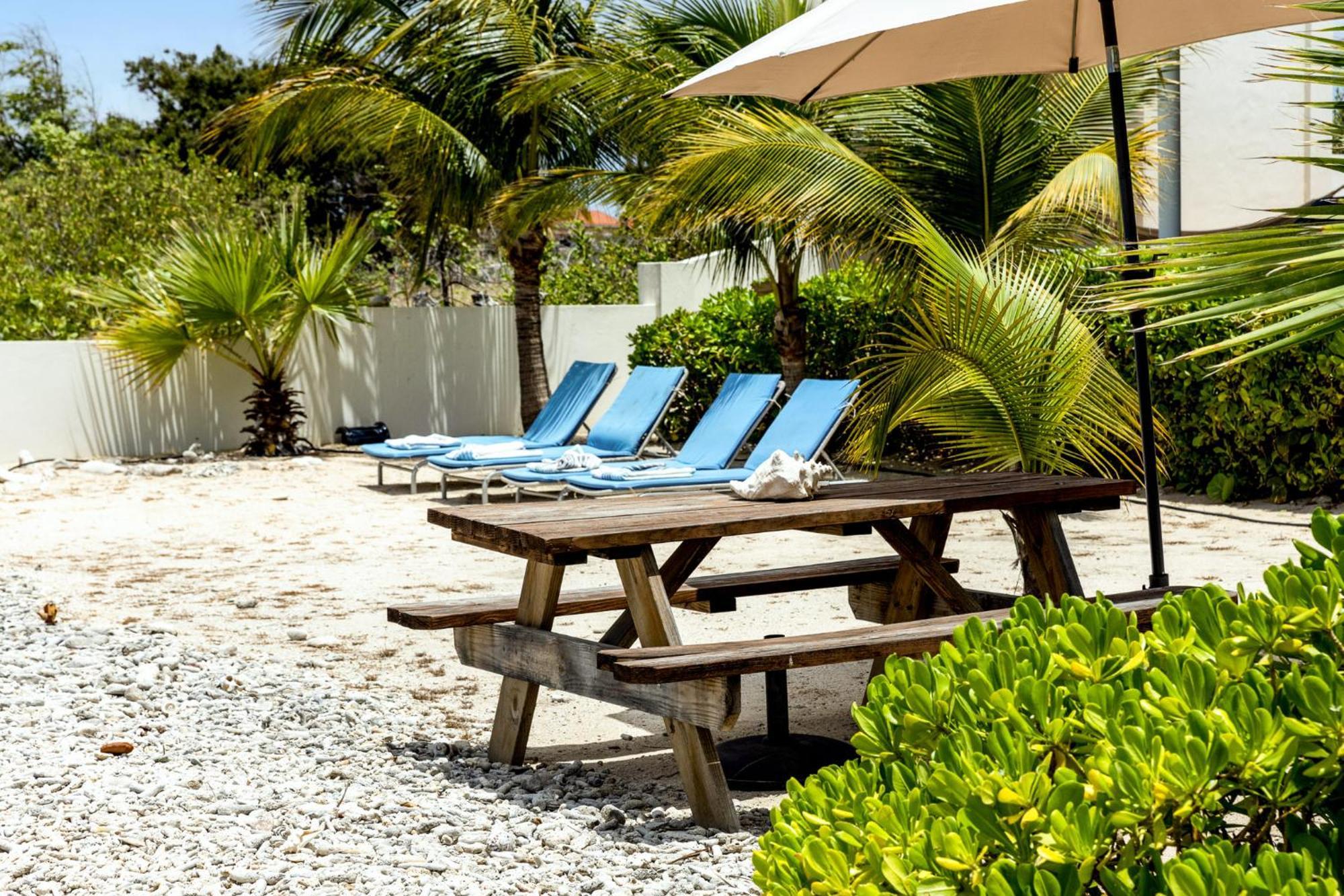 Oceanfront - Villa Port Of Call - Playa Eksteriør bilde